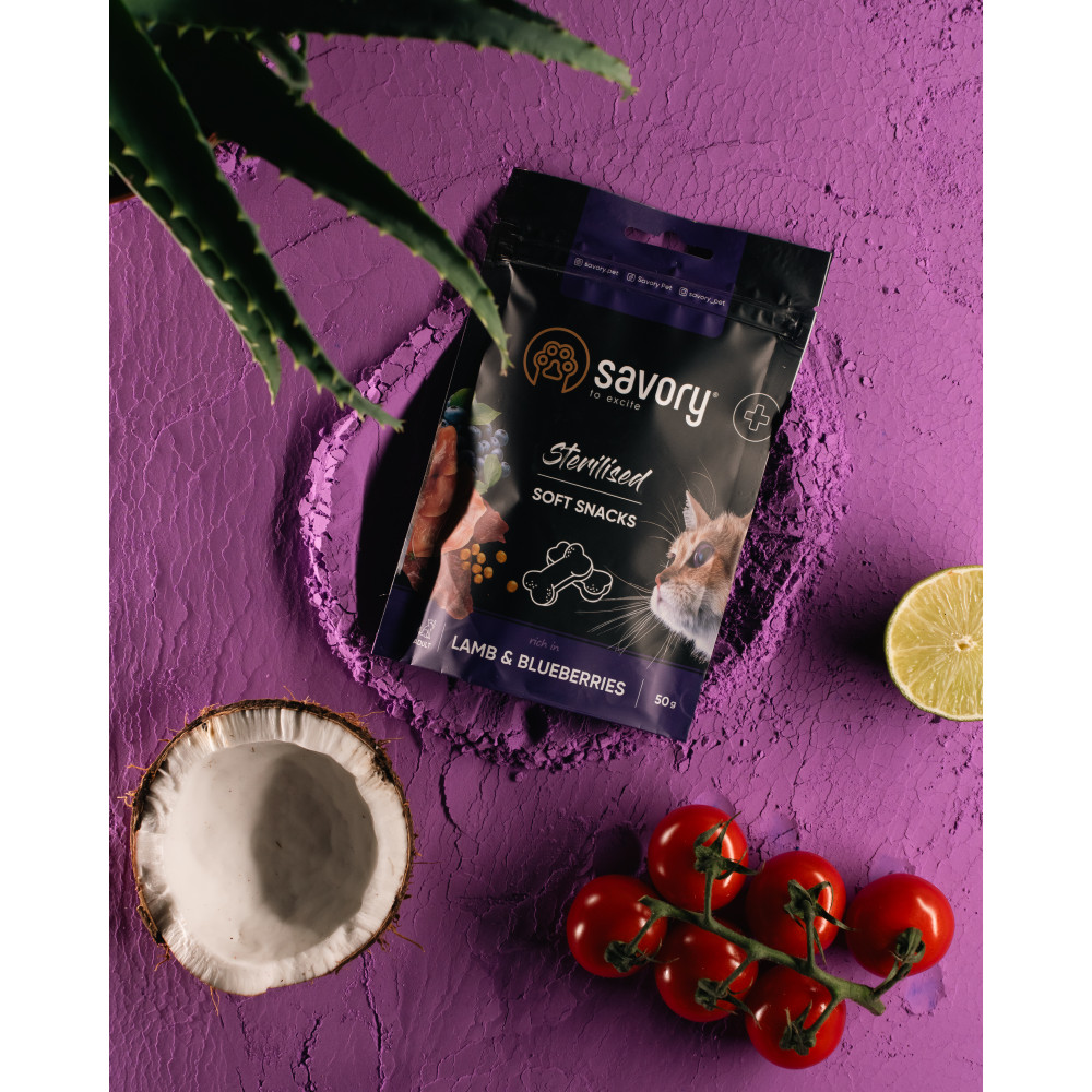 Savory Сейворі ласощі мякі д/кота стерильні Ягня та чорниця 50г