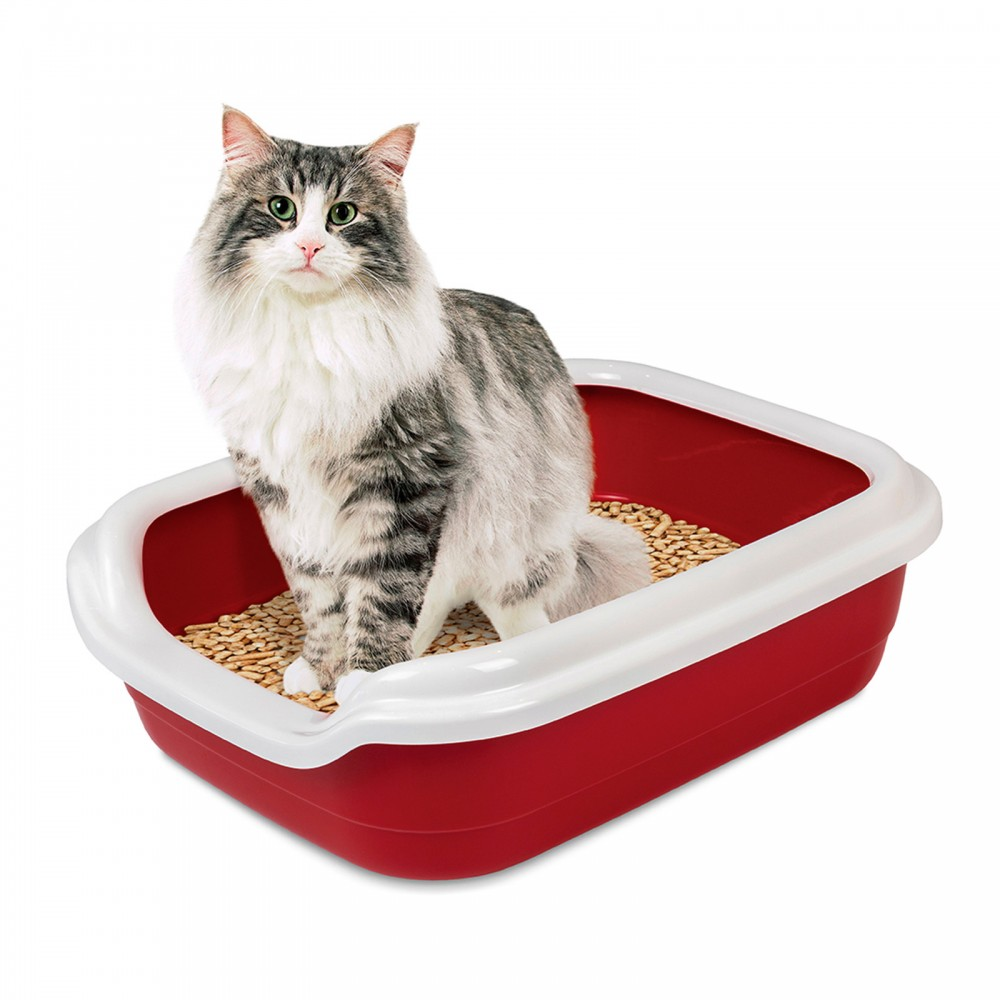 Туалет для котів Comfort L 49х39х15, бордо. Арт PR241739