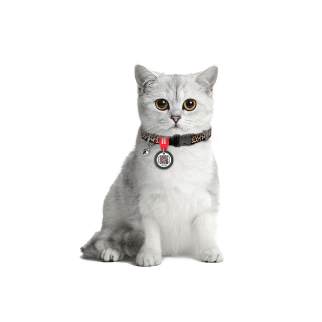 WauDog нашийник д/кота ХS нейлон Лепард QR паспорт ш10мм д20-30см