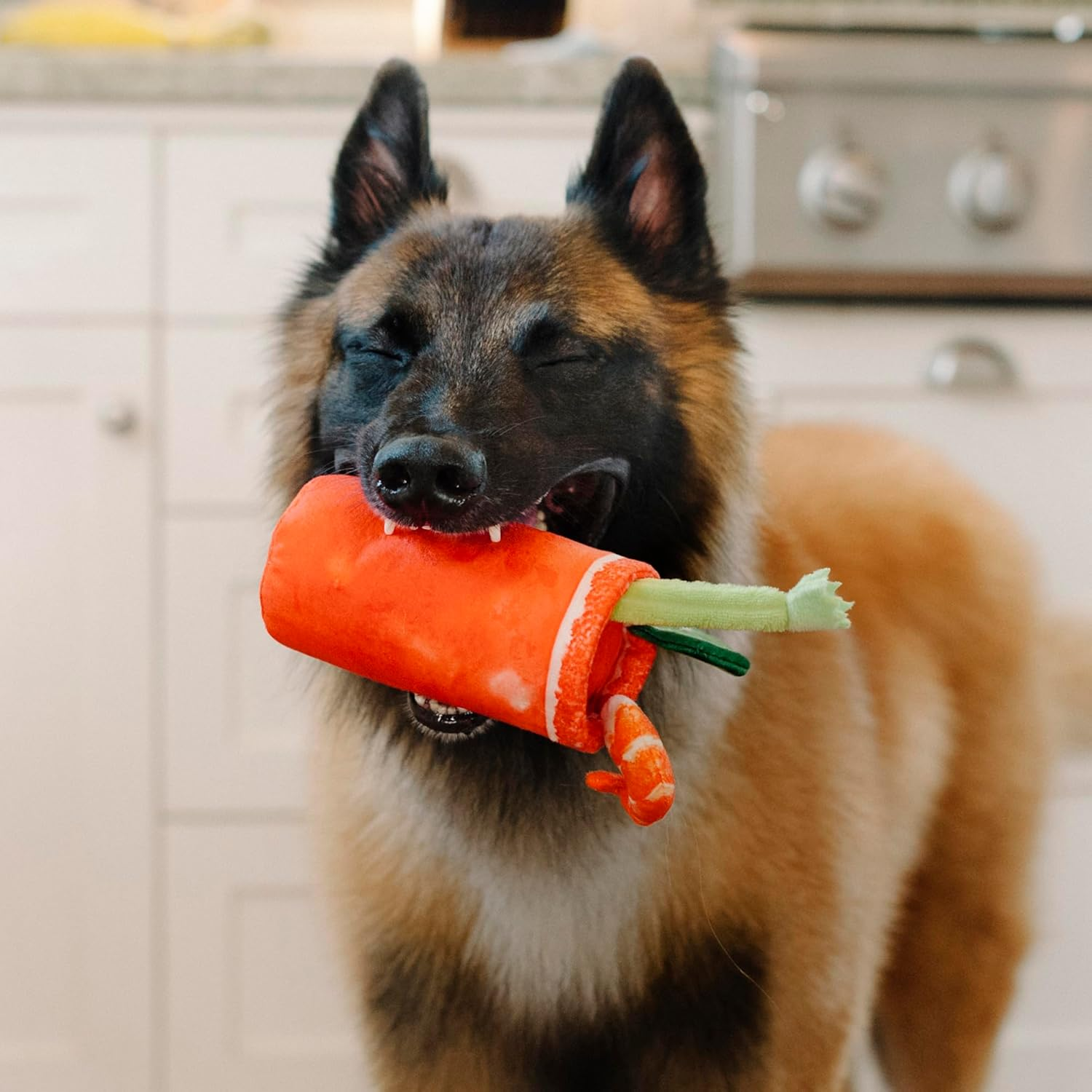 Splish Splash іграшка д/соб червоний коктейль Burking Brunch Collection - Buddy Mary Pet Play (Standart)