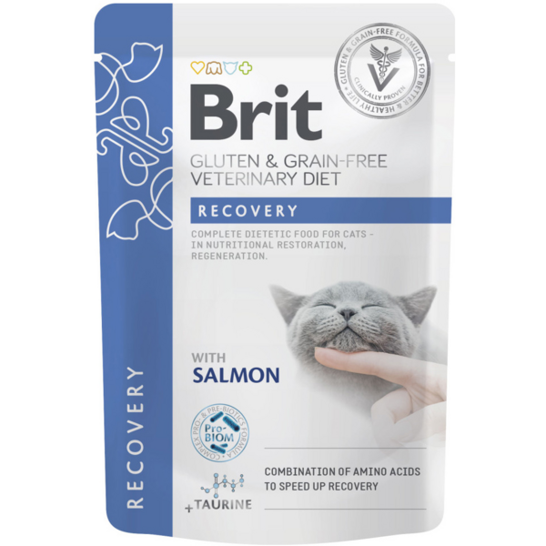 Brit VetDiets пауч.85г д/кота Діета Рекавері з лососемaрт