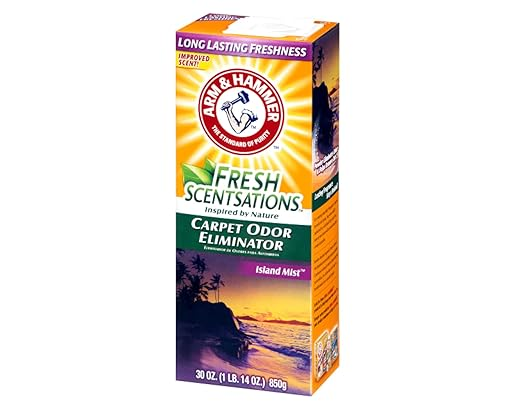Arm & Hammer порошок д/килимів та приміщення Острісний туман 850г