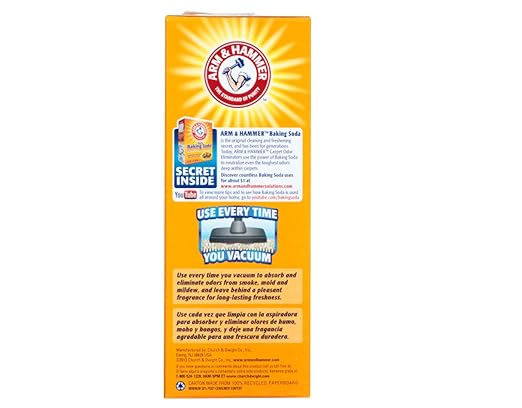 Arm & Hammer порошок д/килимів та приміщення Острісний туман 850г