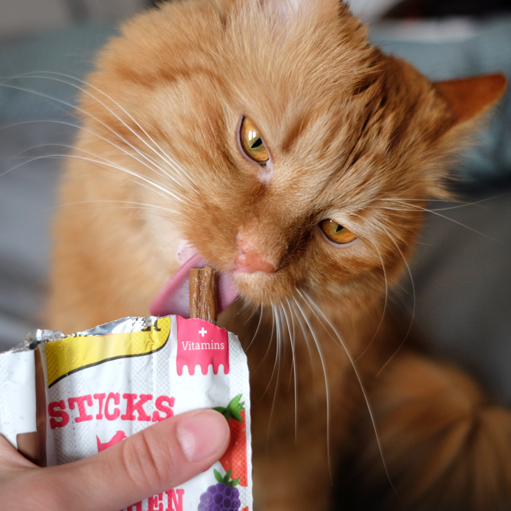 GimCat ГімКет Ласощі д/кота Палочки Курка та ліс ягода 3шт/1уп 1шт