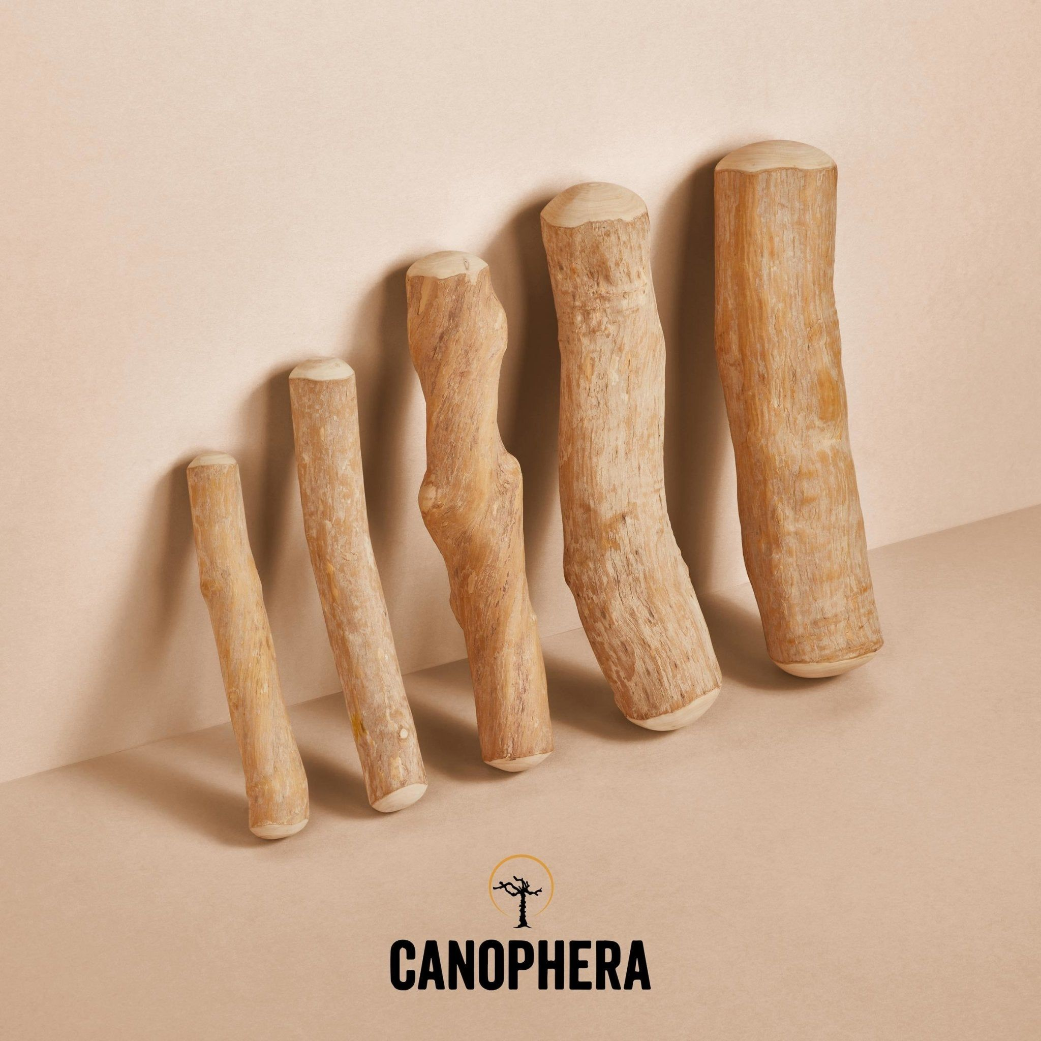Палиця з кавового дерева Canophera XXS