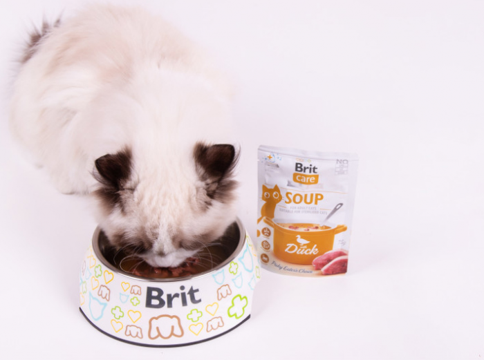 Brit Care Бріт пауч 75г д/кота Суп Качка