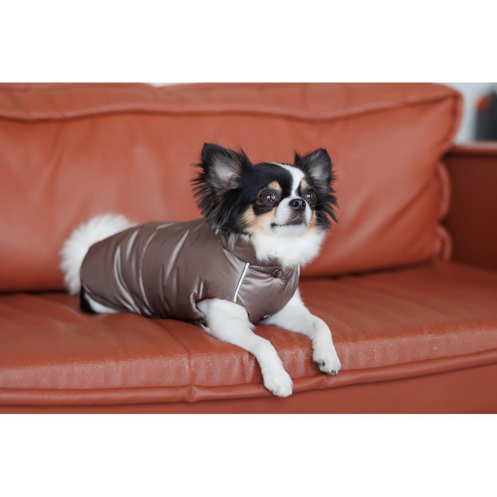 Pet Fashion Жилет Hardy L для собак