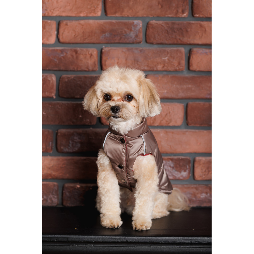 Pet Fashion Жилет Hardy L для собак