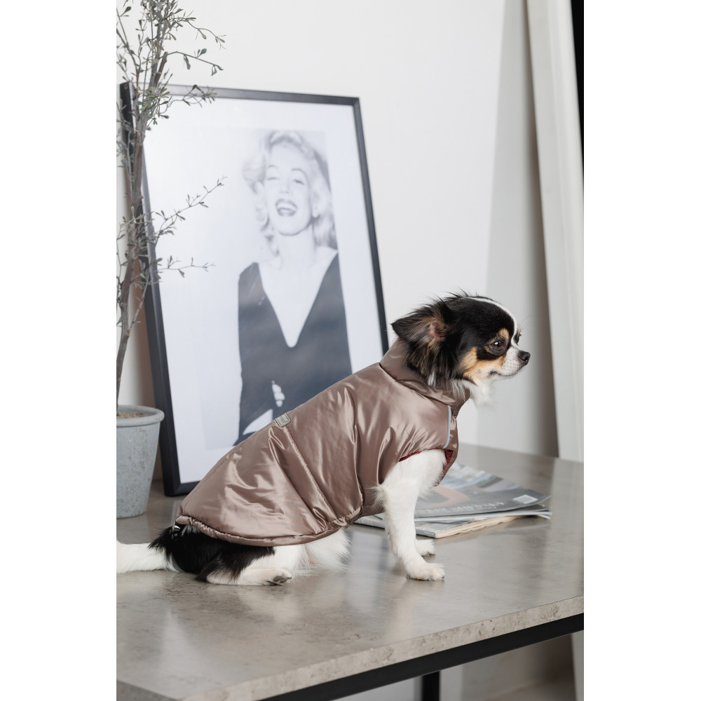 Pet FashionьЖилет Hardy М для собак