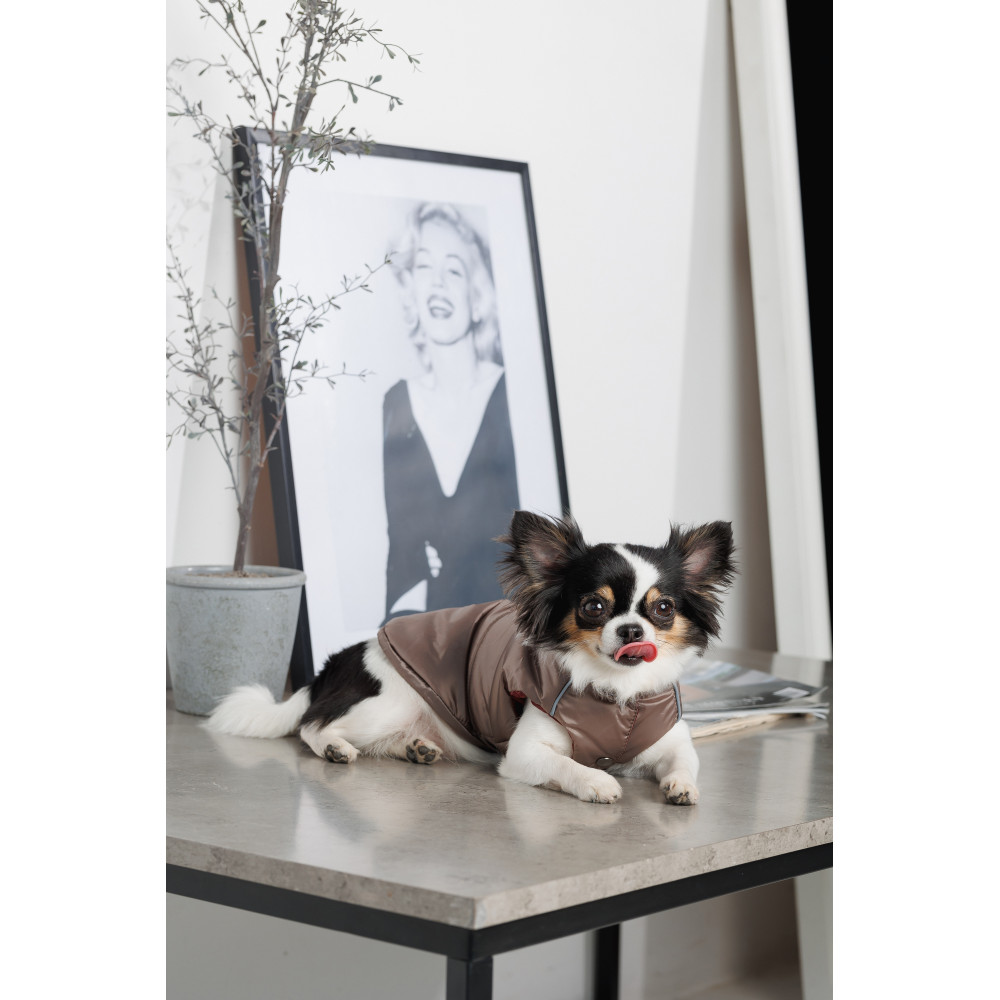 Pet FashionьЖилет Hardy М для собак