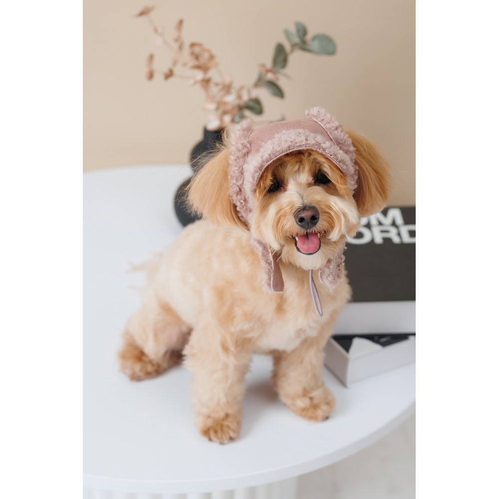 Pet Fashion Шапка Valley M для собак
