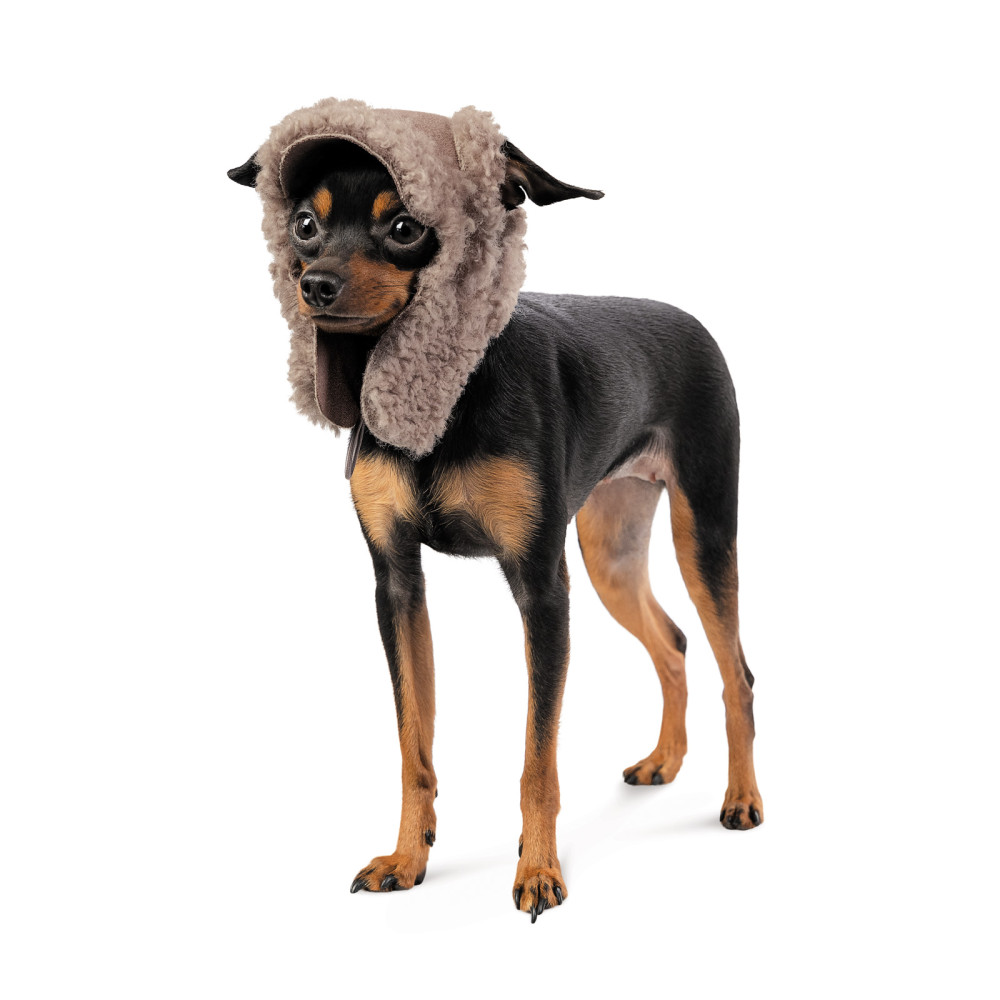 Pet Fashion Шапка Valley S для собак