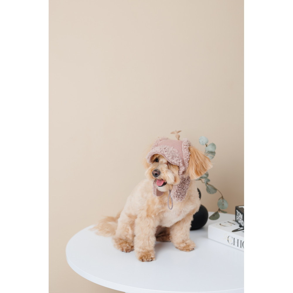 Pet Fashion Шапка Valley S для собак