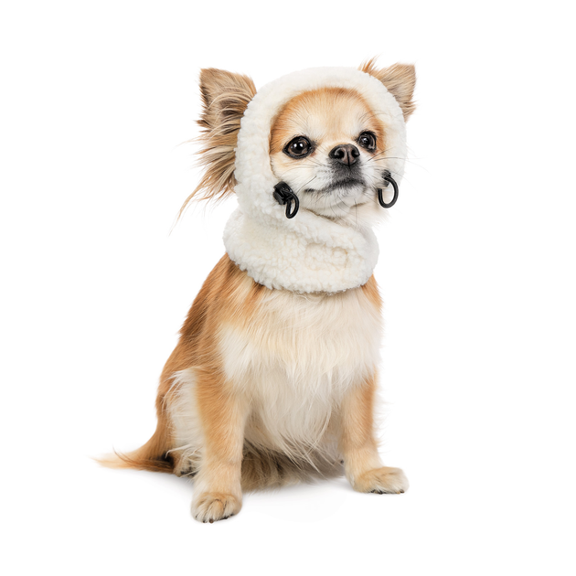 Pet Fashion Шапка Teddy XS для собак