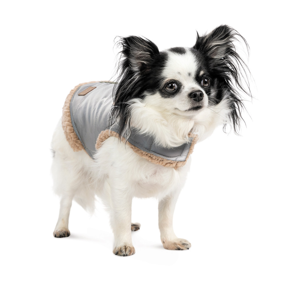 Pet Fashion Шлея Rob XS для собак