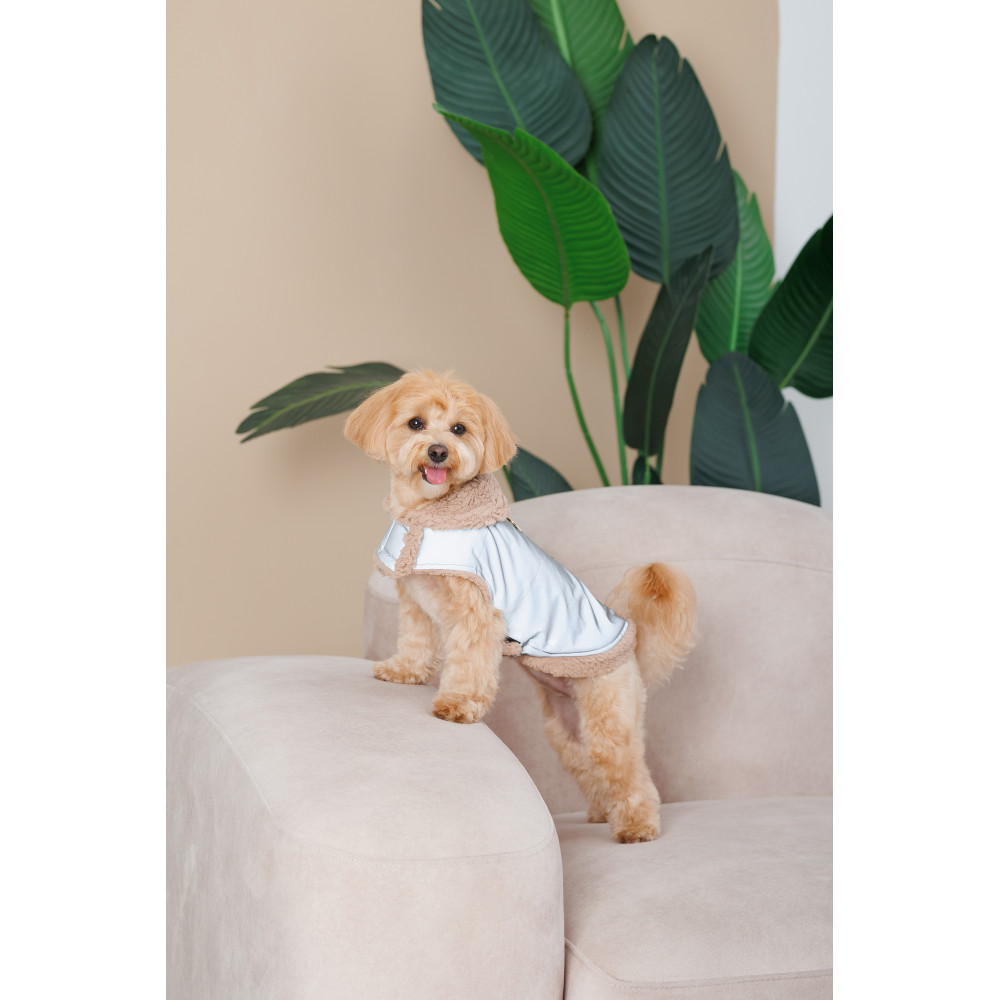Pet Fashion Шлея Rob XS для собак