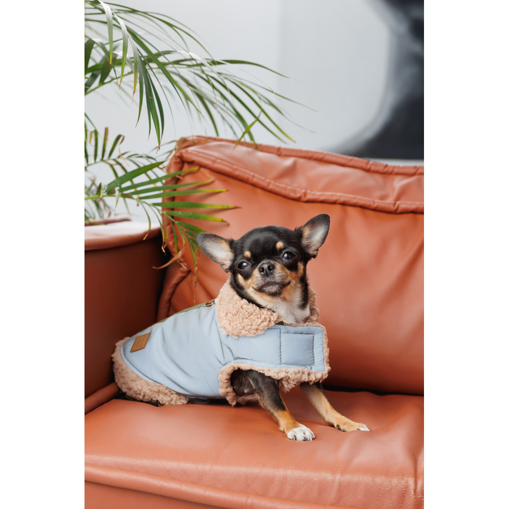Pet Fashion Шлея Rob XS для собак