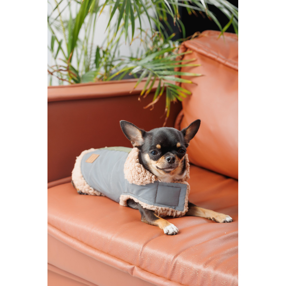 Pet Fashion Шлея Rob XS для собак