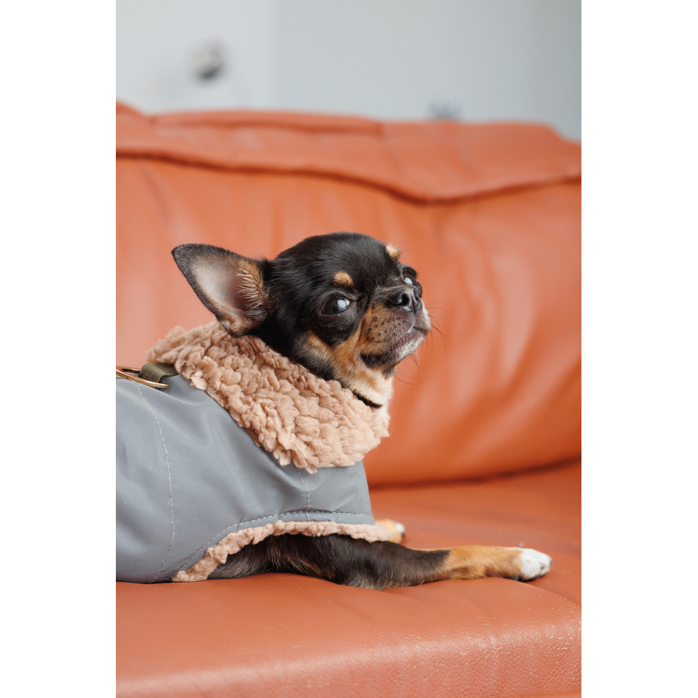 Pet Fashion Шлея Rob XS для собак