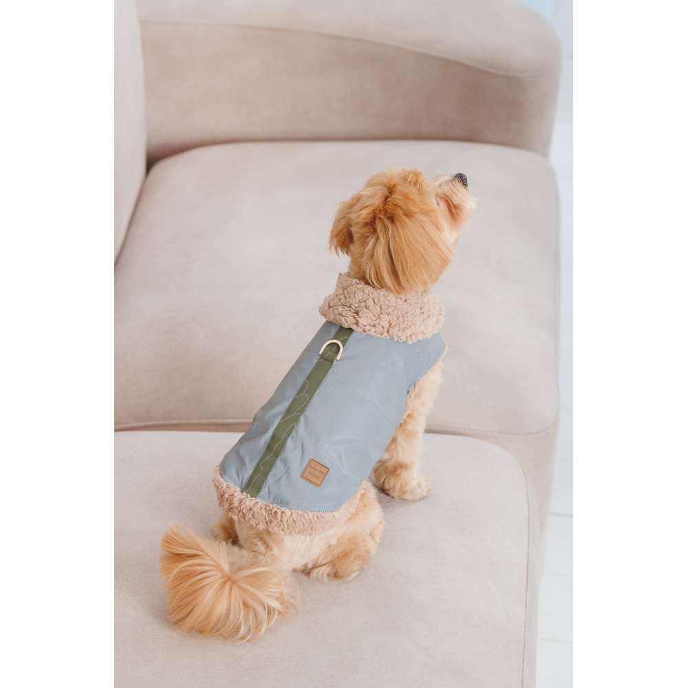 Pet Fashion Шлея Rob XS для собак