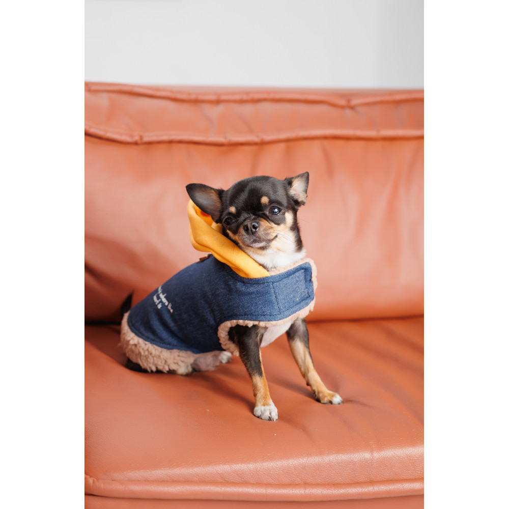 Pet Fashion Шлея Poppy XS для собак