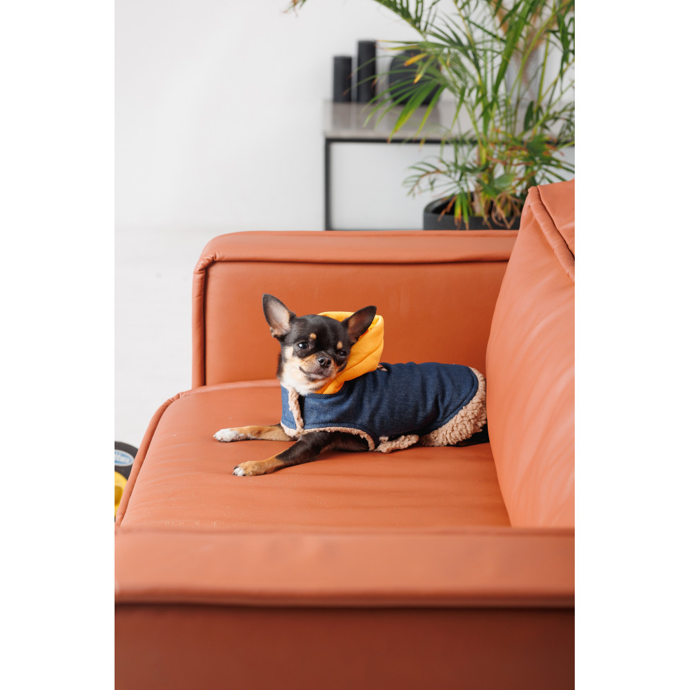 Pet Fashion Шлея Poppy XS для собак