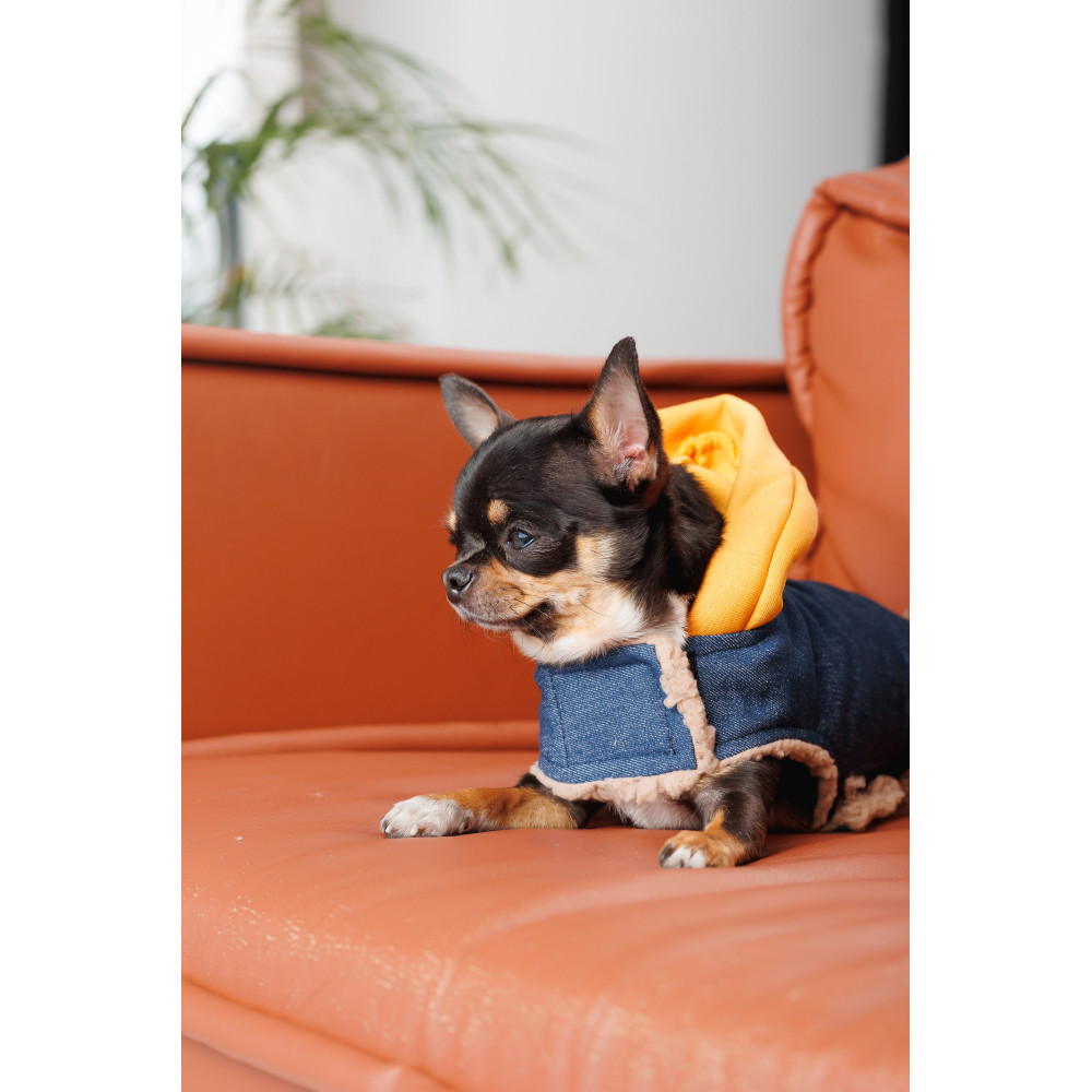 Pet Fashion Шлея Poppy XS для собак