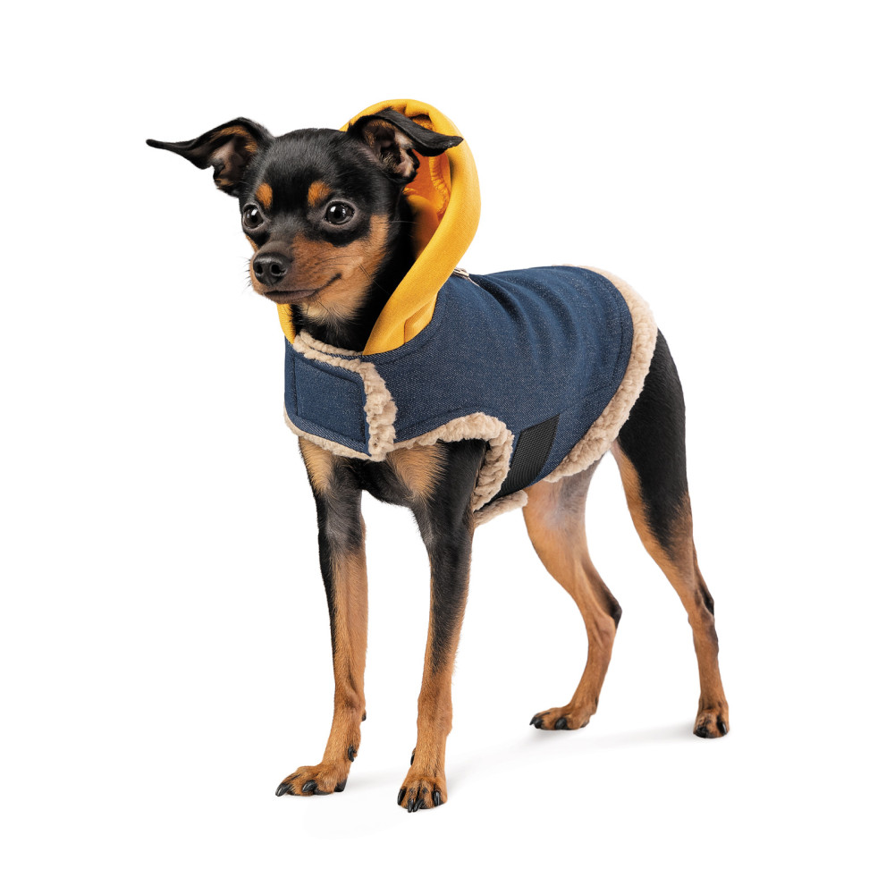 Pet Fashion Шлея Poppy S для собак