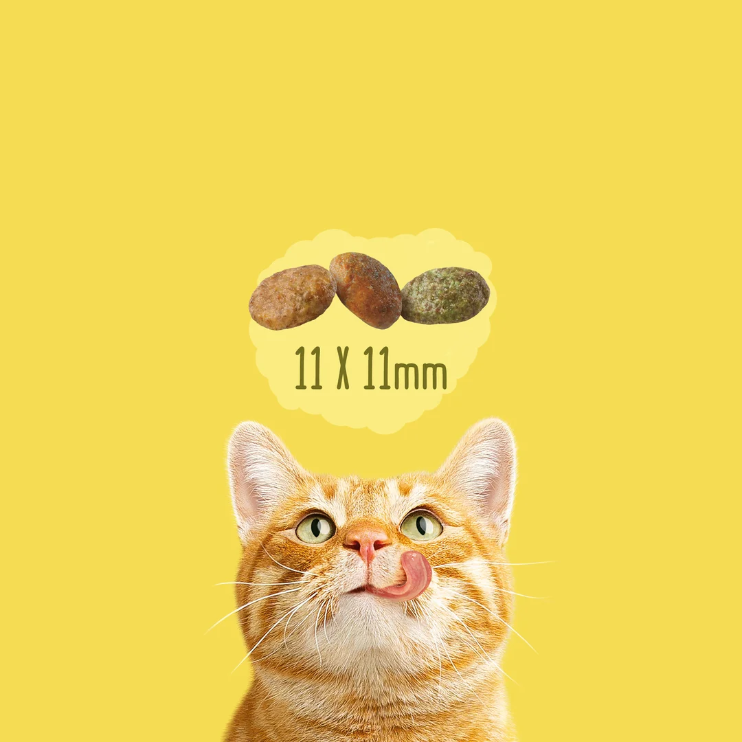 Фріскас 1,5кг д/кота для Домашніх з Куркою