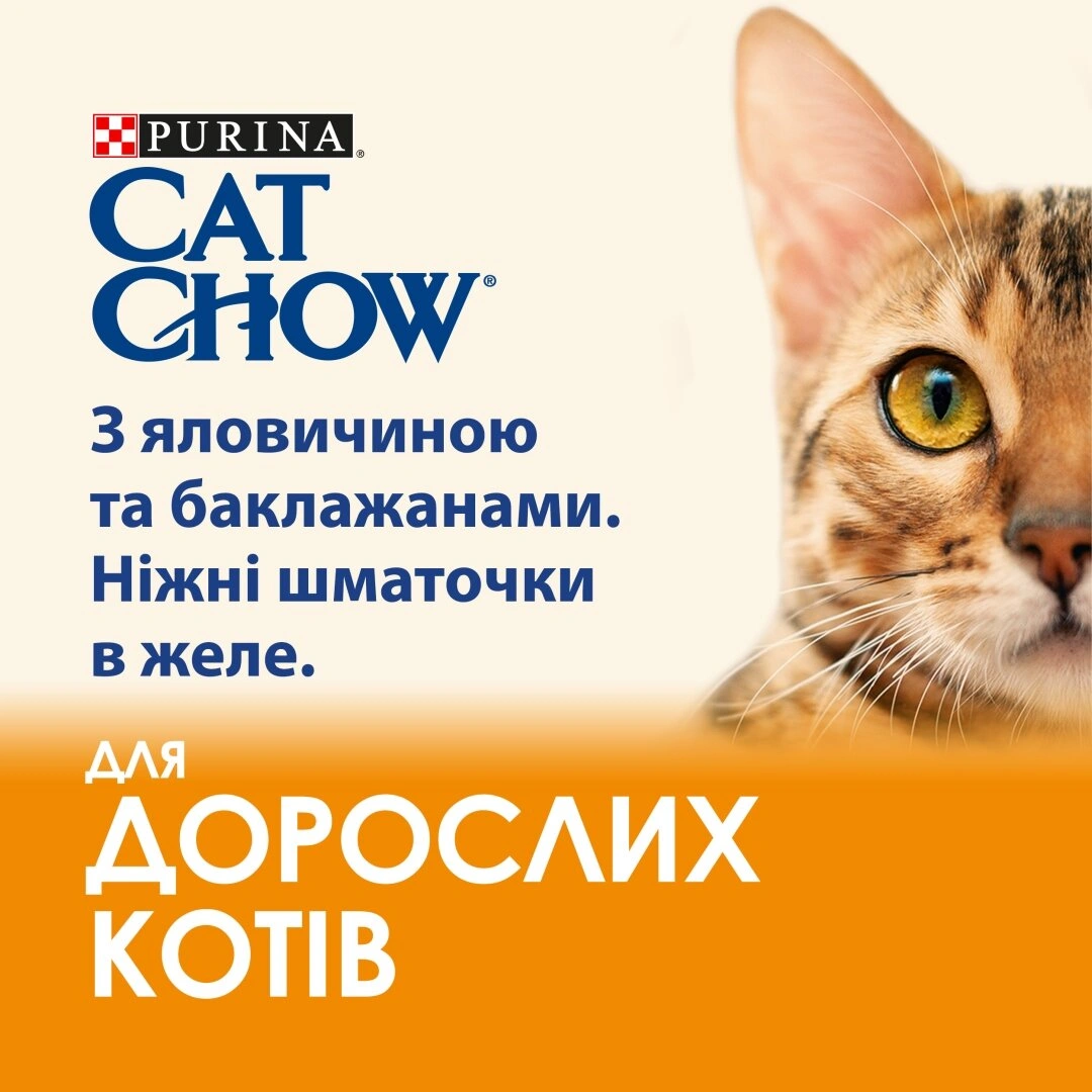 Кет Чау пауч 85г д/кота Яловичина та баклажани 26шт/уп 1шт