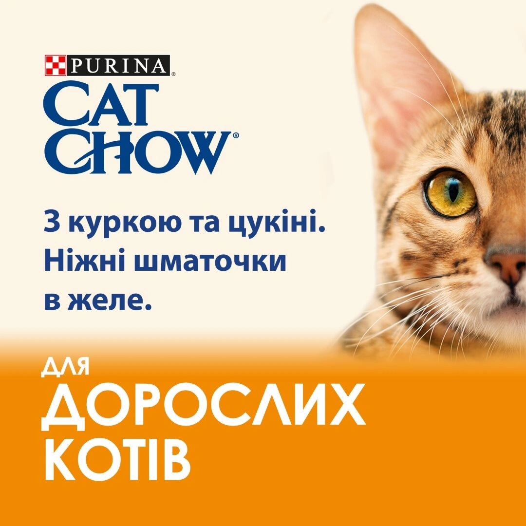 Кет Чау пауч 85г д/котів Курка цукіні 26шт/уп 1шт
