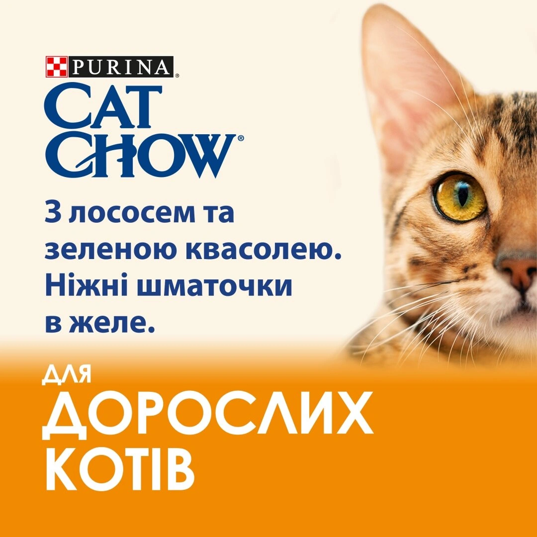 Кет чау пауч 85г д/кота Лососем та зеленою квасолею 26шт/уп 1шт