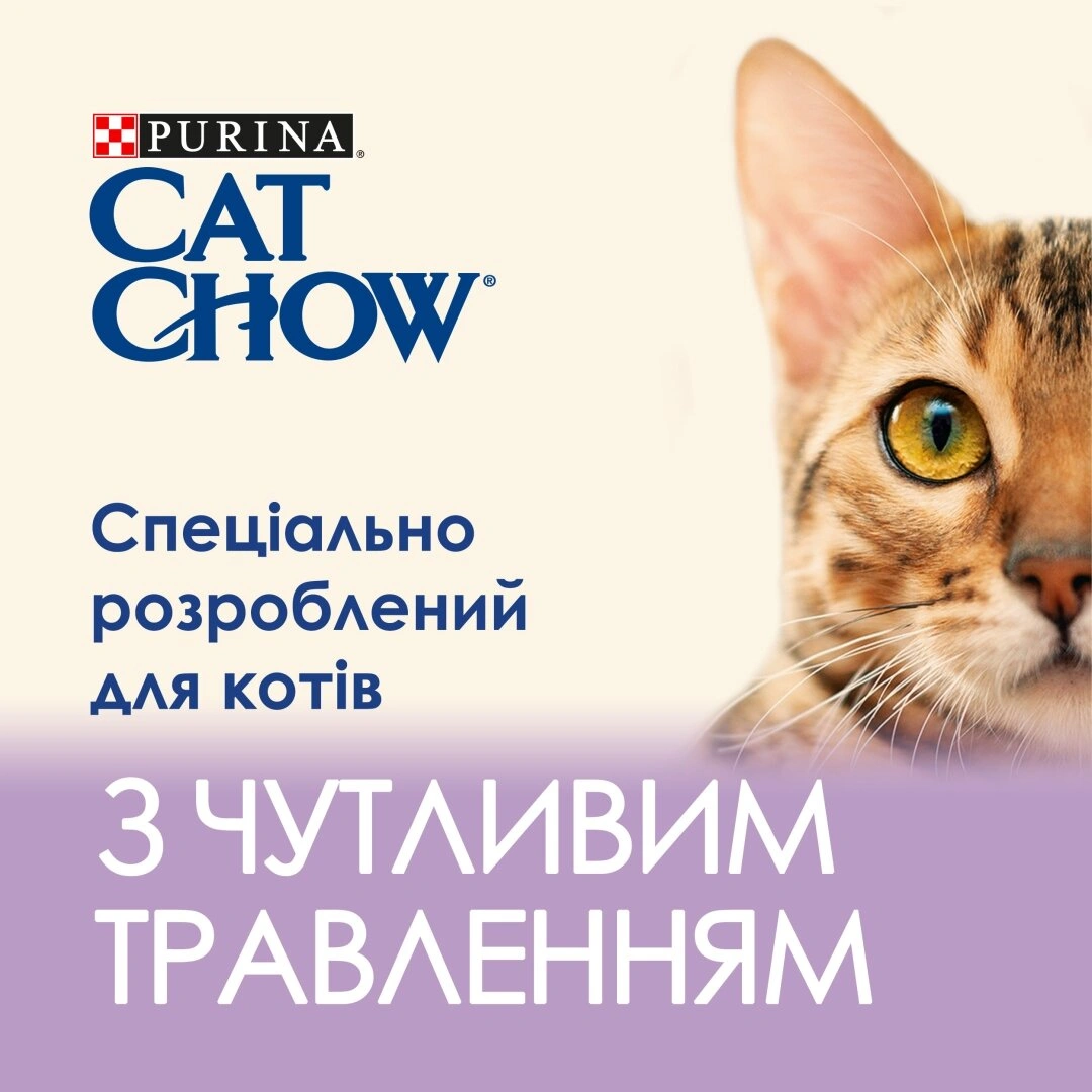 Кет Чау пауч 85г д/кота Чуств. Лосось цукіні желе 26шт/уп 1 шт