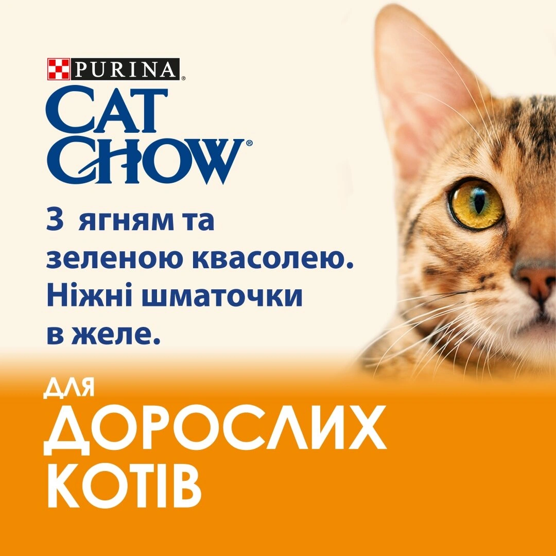 Кет Чау пауч 85г д/кота Ягня квасоля желе 26шт/уп 1шт