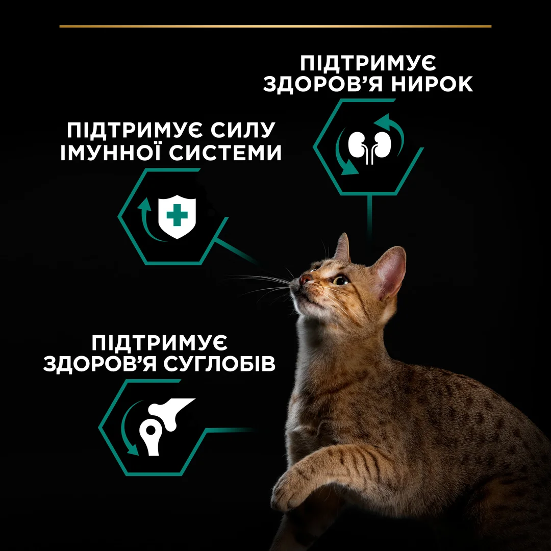 ПроПлан 1,5кг д/кота Курка едалт