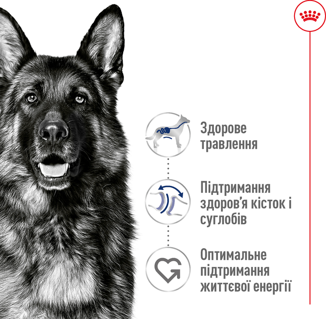 Роял Канін Максі Maxi Adult великих порід від 15 місяців 15 кг