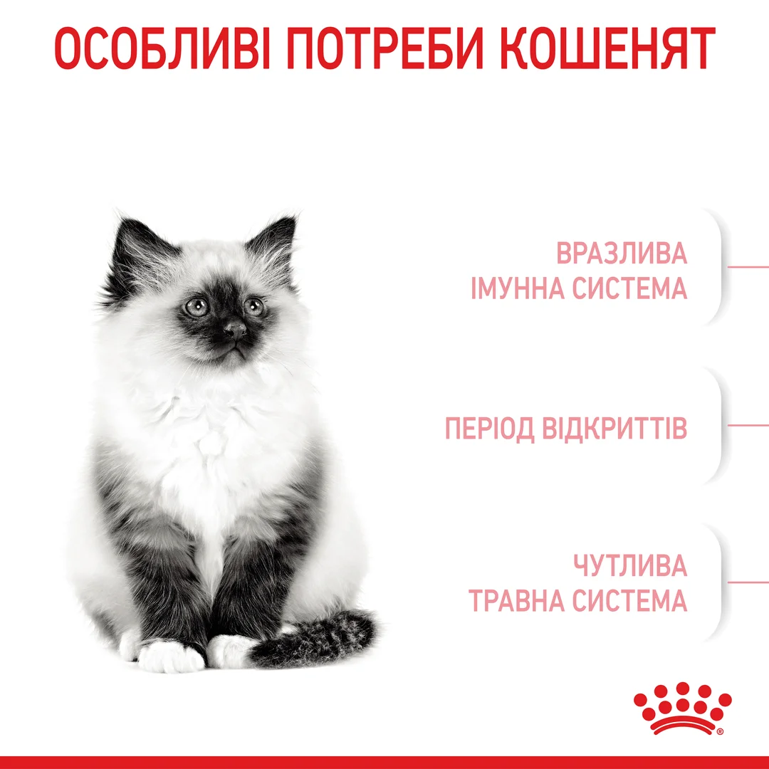 Роял Канін 2кг д/кошенят Kitten Кіттен від 2-12міс