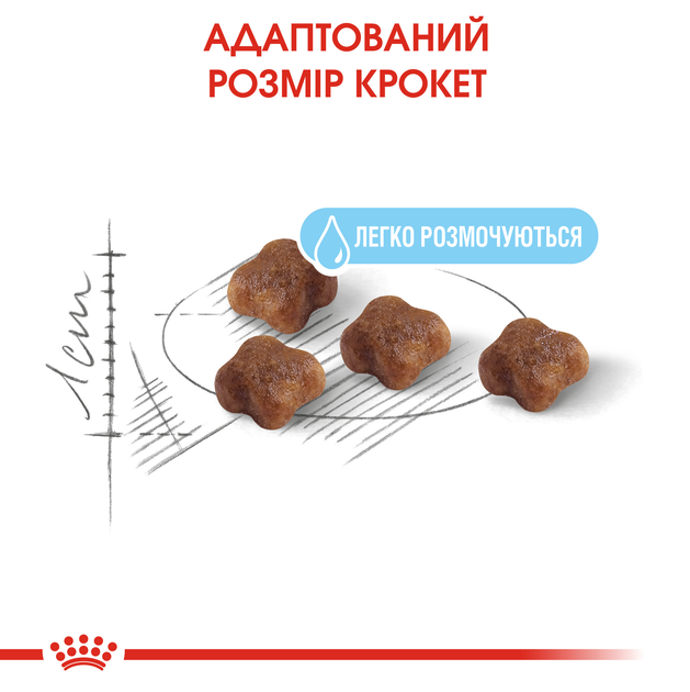 Роял Канін 400г д/кота та кошенят Бебі Кет до 4 міс