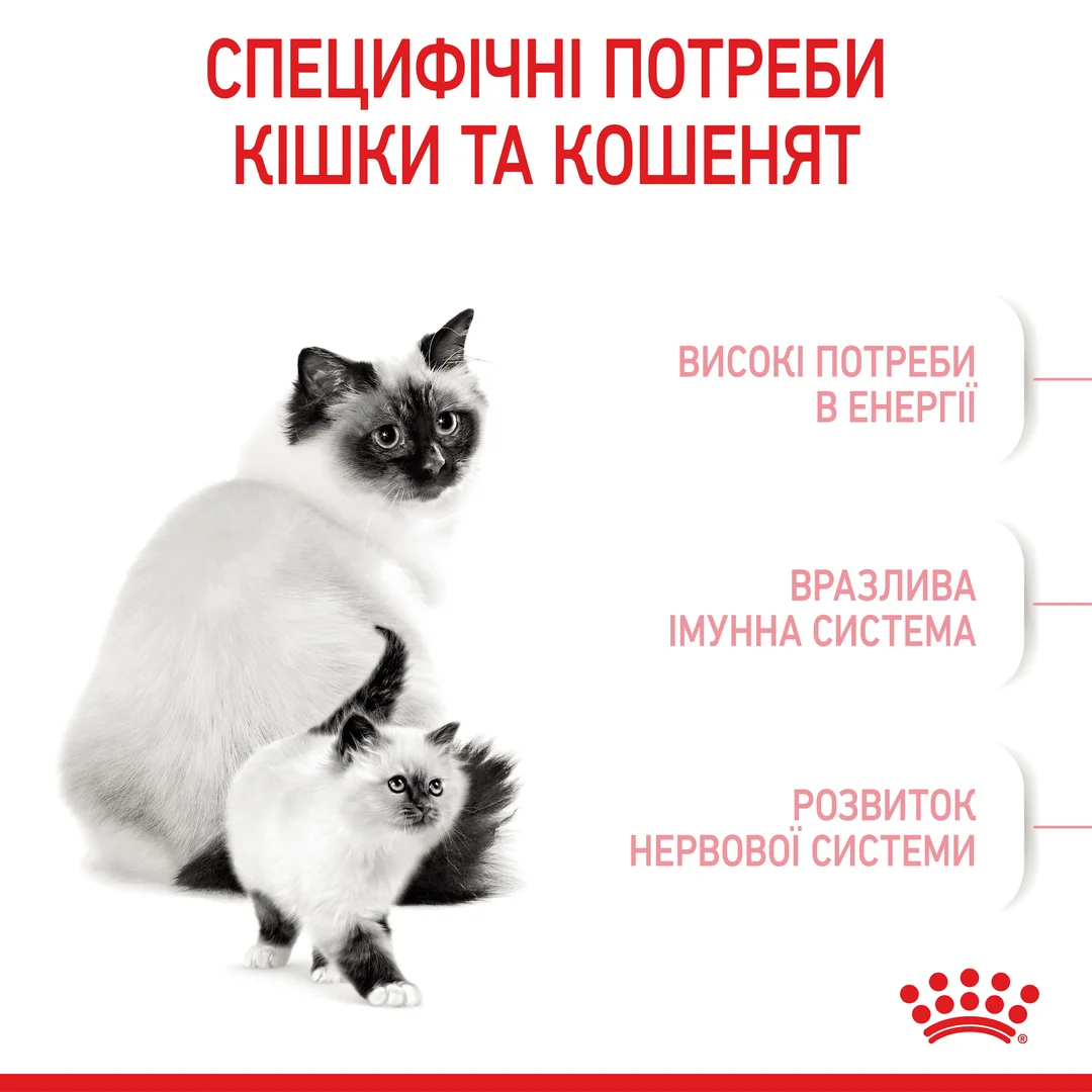 Роял Канін 2кг д/кота та кошенят Бебі Кет до 4 міс