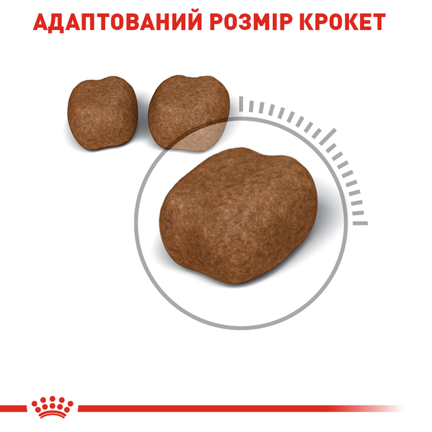 Роял Канін 400г д/кота Орал