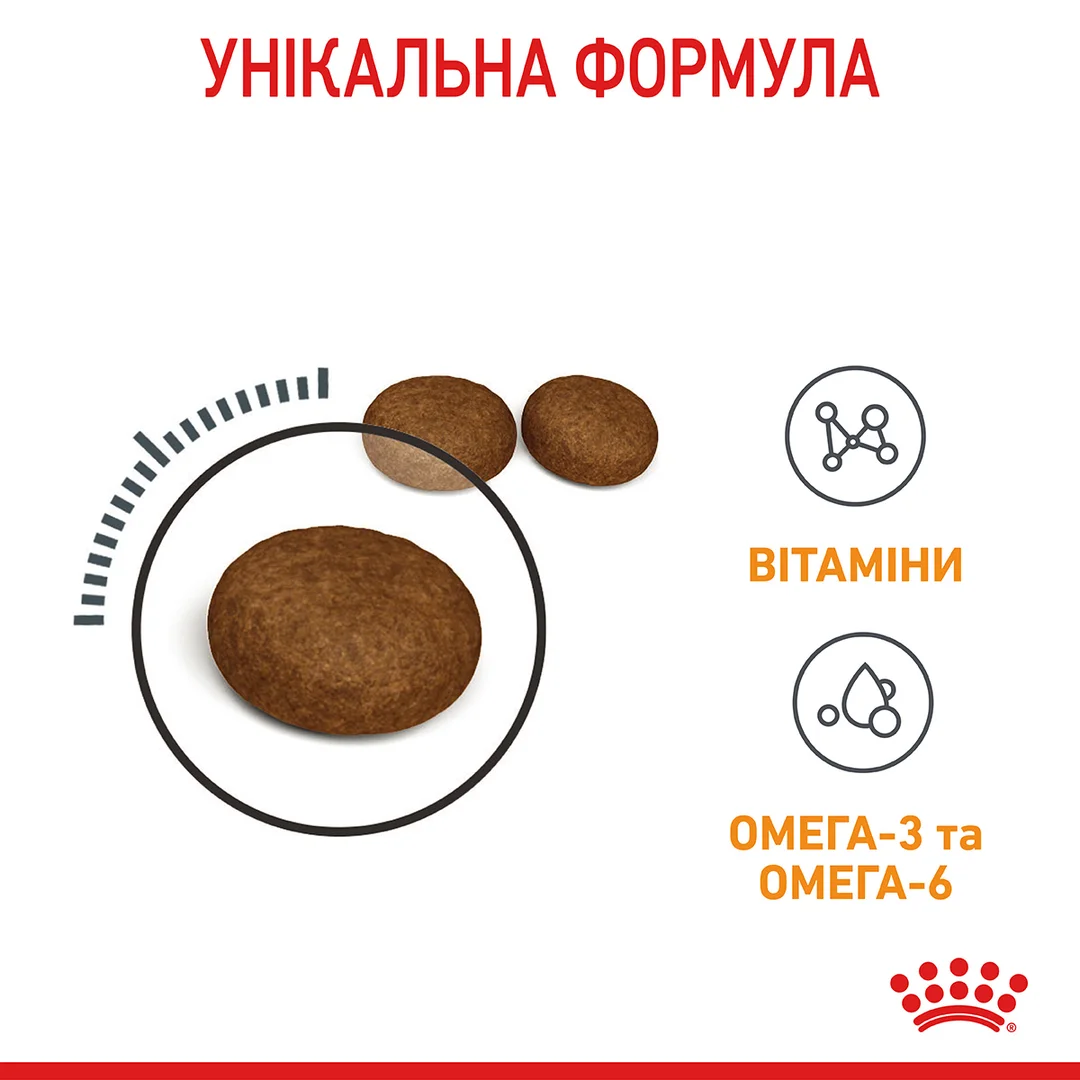 Роял Канін 4 кг д/кота Hair & Skin adalt для шерсті та шкіри