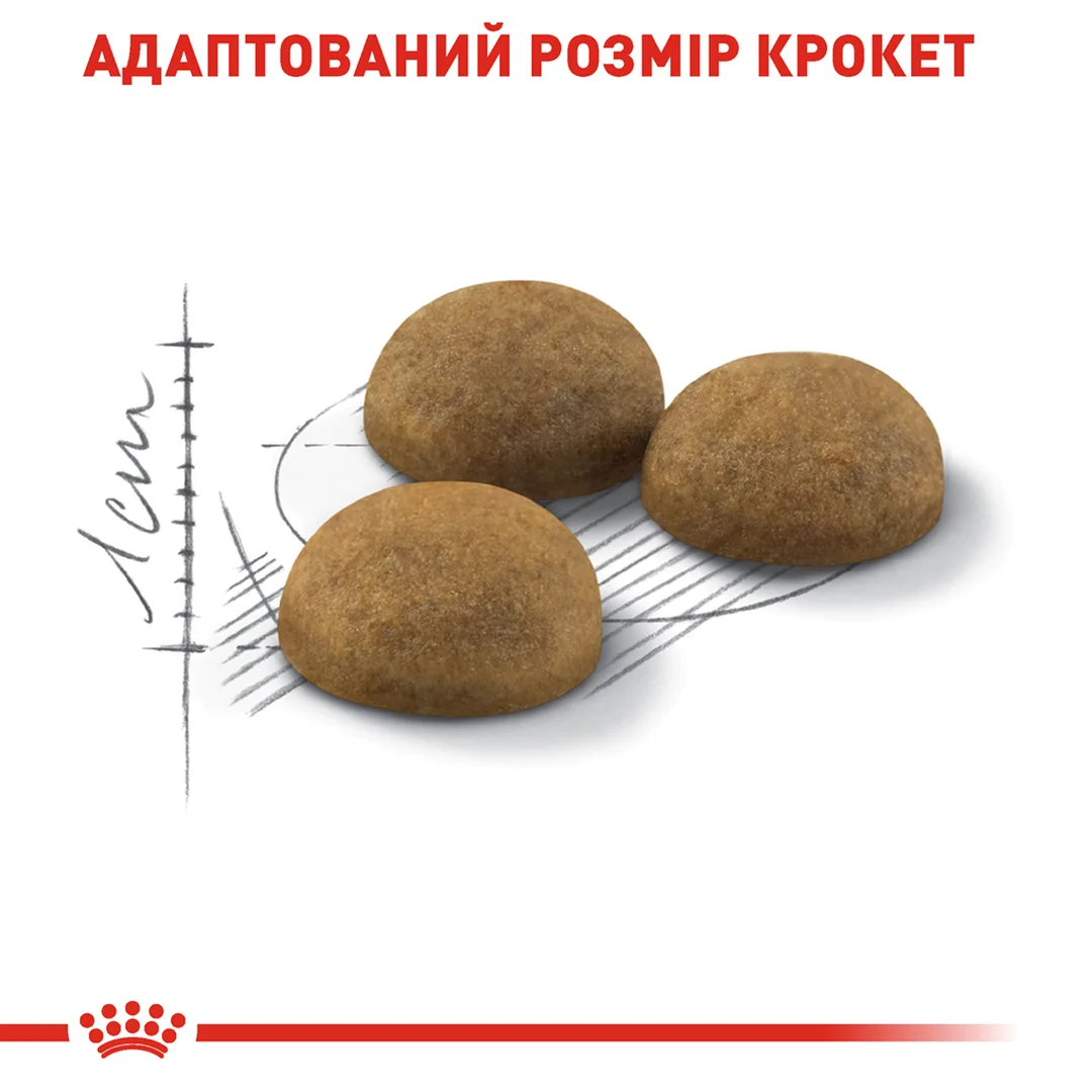 Роял Канін 2кг д/кота Індор Лонг Хаір