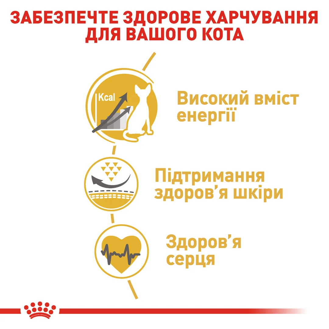 Роял Канін 2кг д/кота Сфінкс едалт