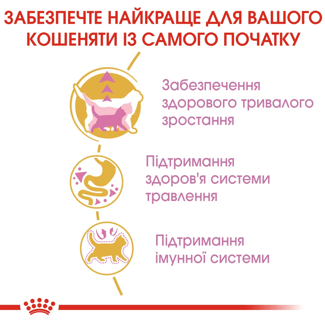 Роял Канін 2кг д/кошенят Мэйн Кун кіттен