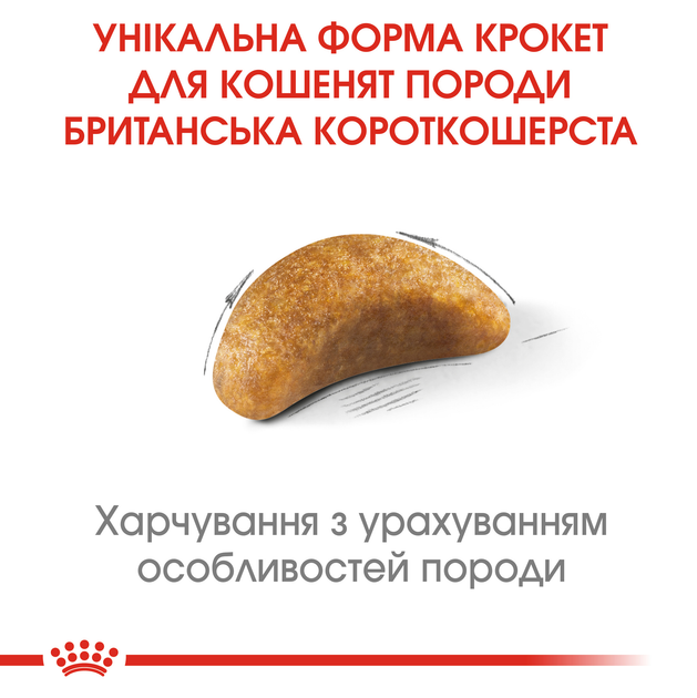 Роял Канін 400г д/кошенят British Kitten Британець кітен