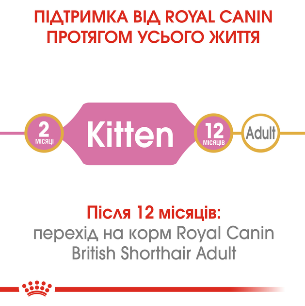 Роял Канін 400г д/кошенят British Kitten Британець кітен