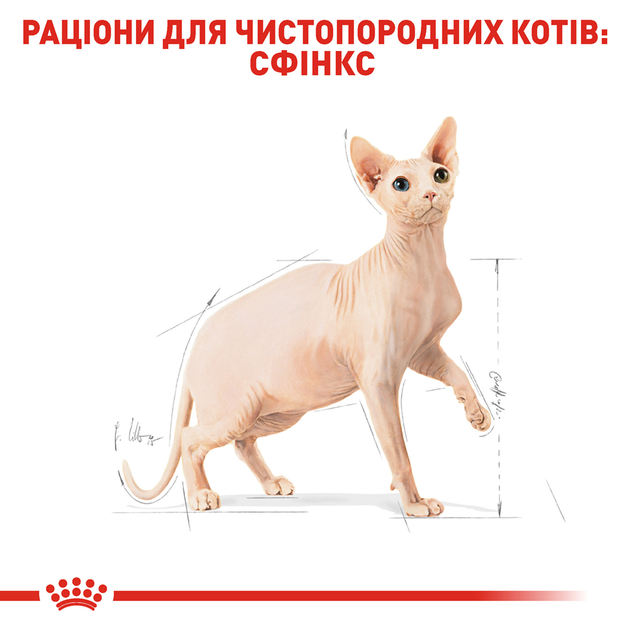 Роял Канін 400г д/кота Сфінкс едалт