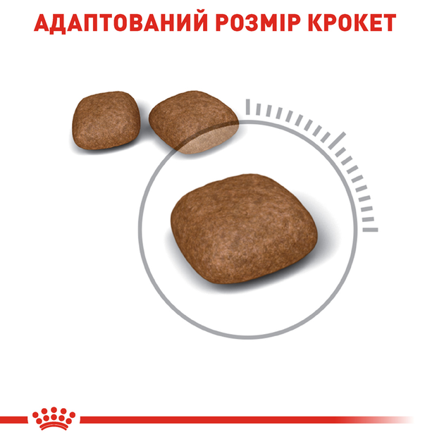 Роял Канін 400г д/кота Урінарі Каре едалт