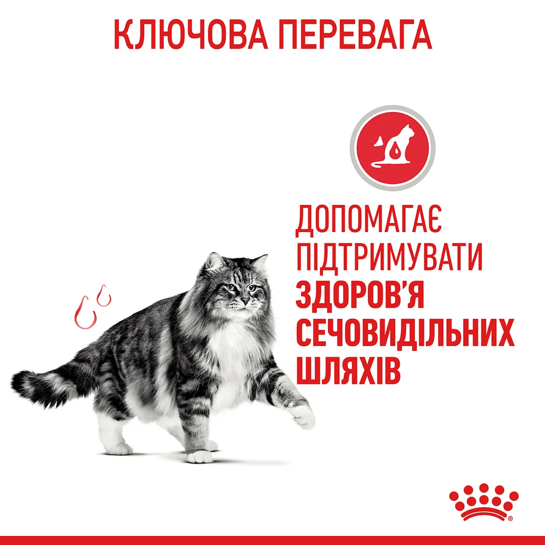Роял Канін 2кг д/кота Урінарі Каре едалт