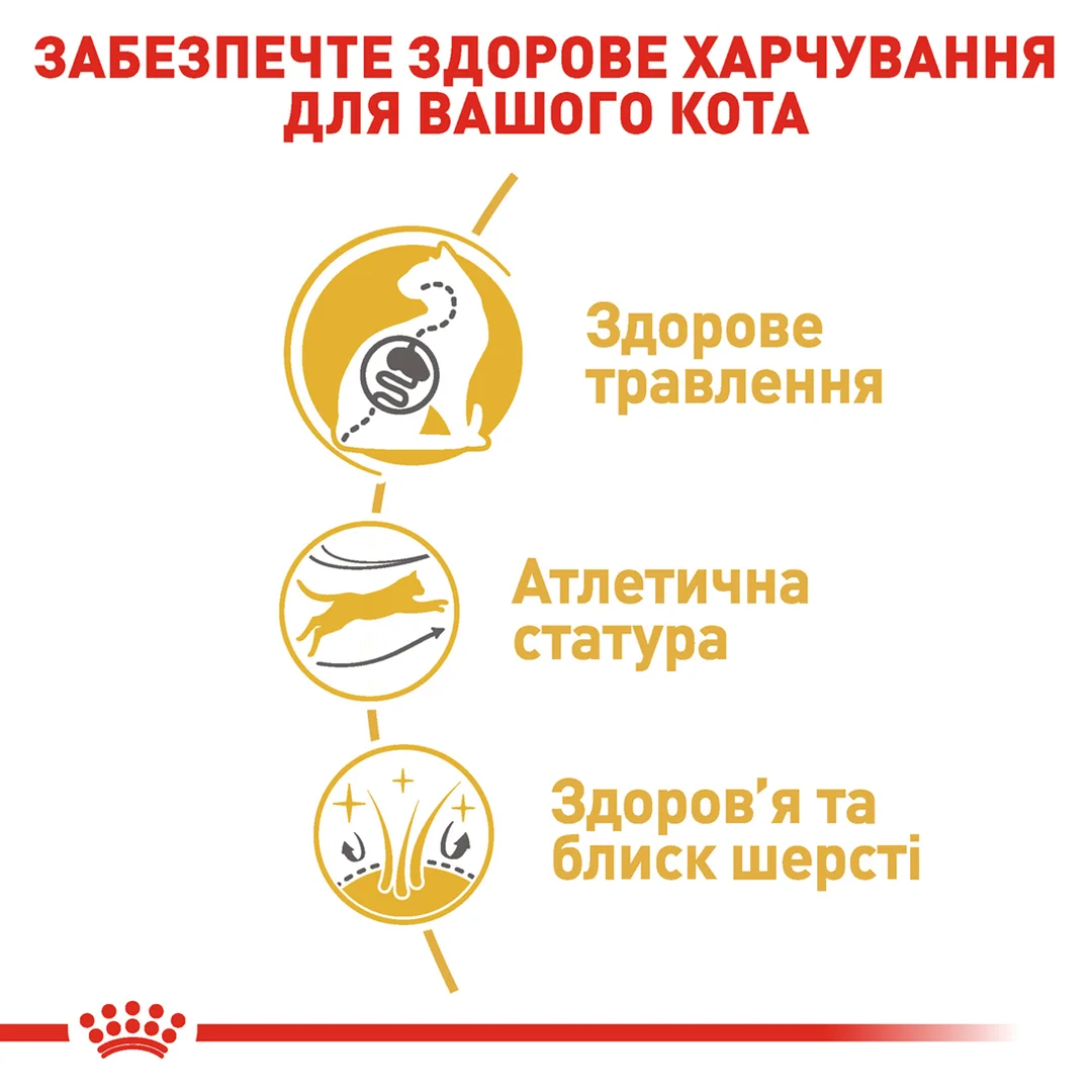 Роял Канін 2кг д/кота Bengal Бенгал едалт